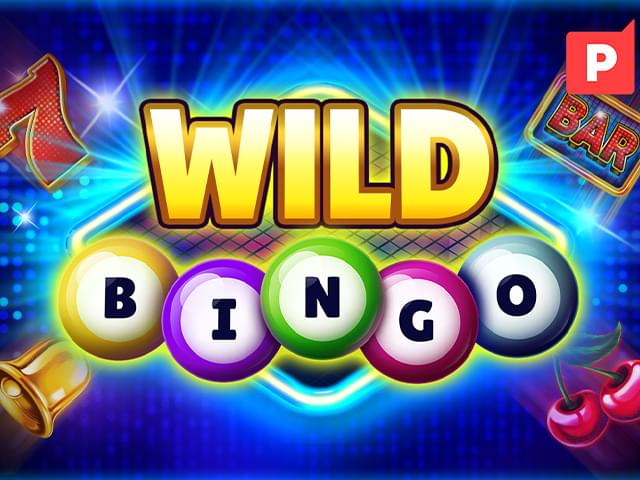 090 bet Bingo Selvagem